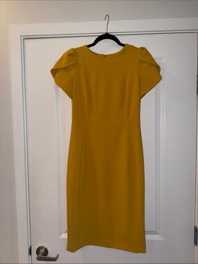 Calvin Klein Yellow Tulip Sleeve Sheath Dress